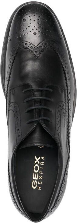 Geox Dublin lace-up brogue shoes Black