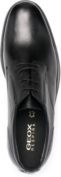 Geox Dublin leather Derby shoes Black