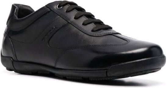 Geox Edgware low-top sneakers Black