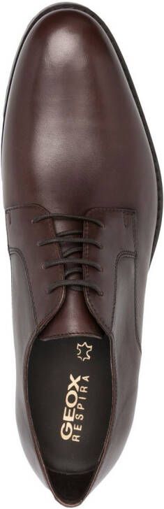 Geox Hampstead lace-up derby shoes Brown
