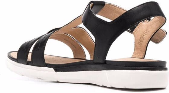 Geox Hiver buckle-fastening sandals Black