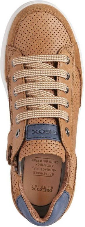 Geox Kids perforated-panel leather sneakers Brown