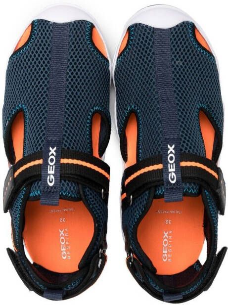 Geox Kids Wader low-top sneakers Blue
