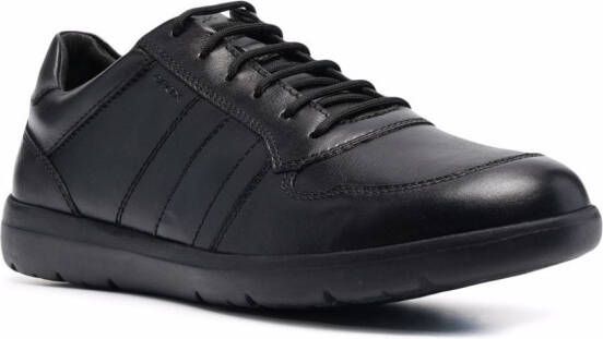 Geox Leitan H low top sneakers Black