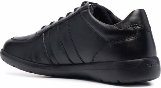 Geox Leitan H low top sneakers Black