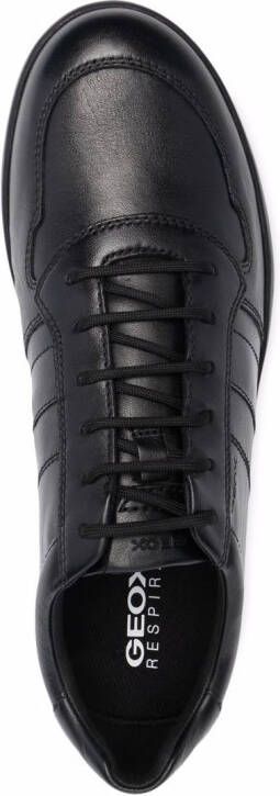 Geox Leitan H low top sneakers Black