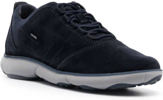Geox Nebula leather low-top sneakers Blue
