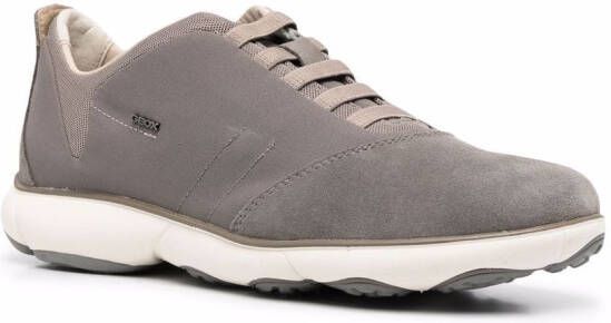 Geox Nebula low top sneakers Grey