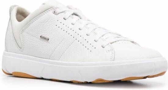 Geox Nebula low-top sneakers White