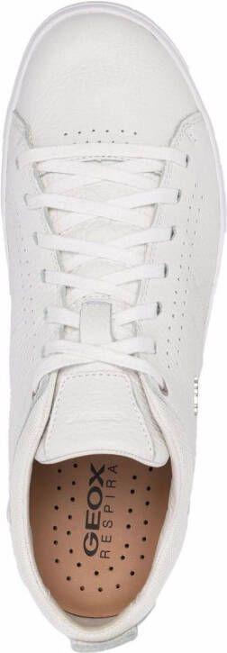 Geox Nebula low-top sneakers White