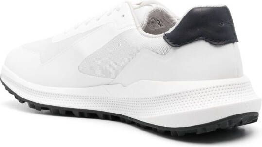 Geox panelled low-top sneakers White