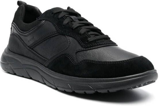 Geox Portello low-top sneakers Black