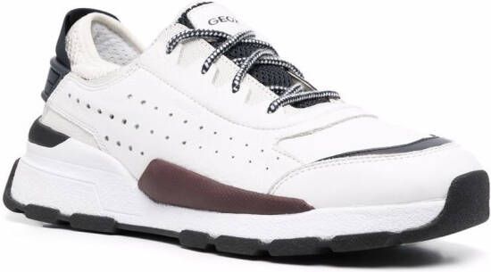 Geox Regale low top sneakers White