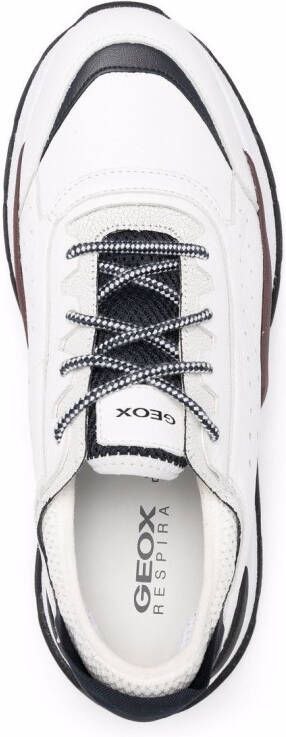 Geox Regale low top sneakers White