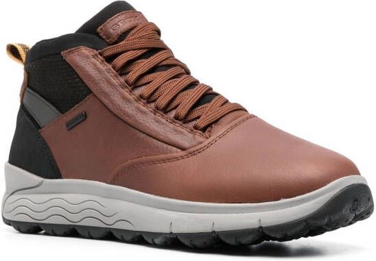 Geox Spherica 4X4 high-top sneakers Brown