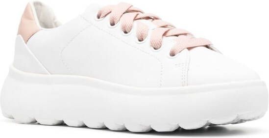Geox Spherica leather sneakers White