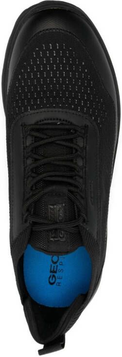 Geox Spherica low-top sneakers Black