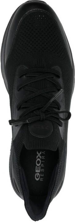 Geox Spherica low-top sneakers Black