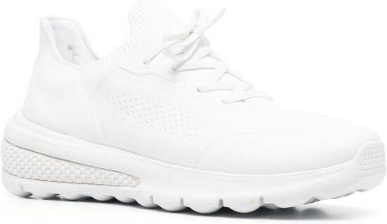 Geox Spherica low-top sneakers White