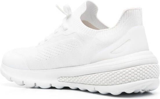 Geox Spherica low-top sneakers White
