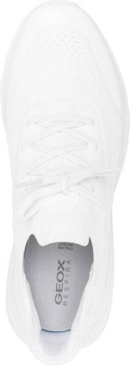 Geox Spherica low-top sneakers White