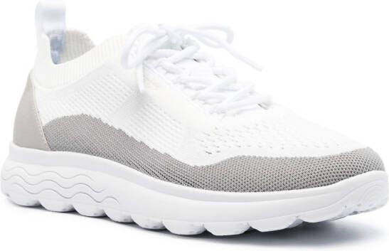 Geox Spherica low-top sneakers White