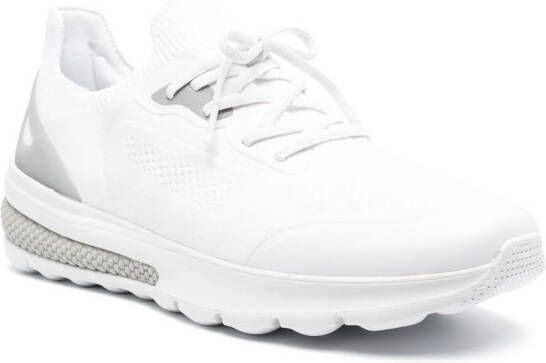 Geox Spherica low-top sneakers White