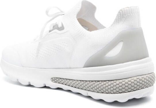 Geox Spherica low-top sneakers White