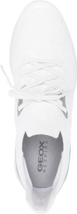 Geox Spherica low-top sneakers White