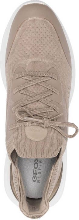 Geox Spherica Sport sneakers Neutrals