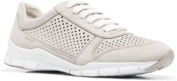 Geox Susie low-top sneakers Grey