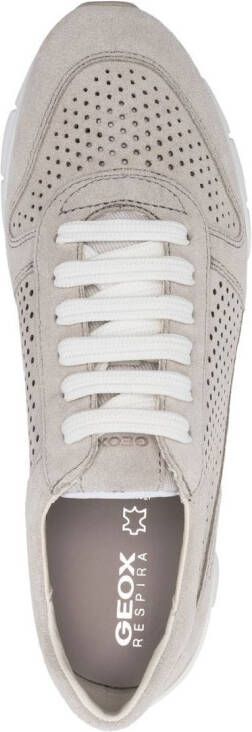 Geox Susie low-top sneakers Grey