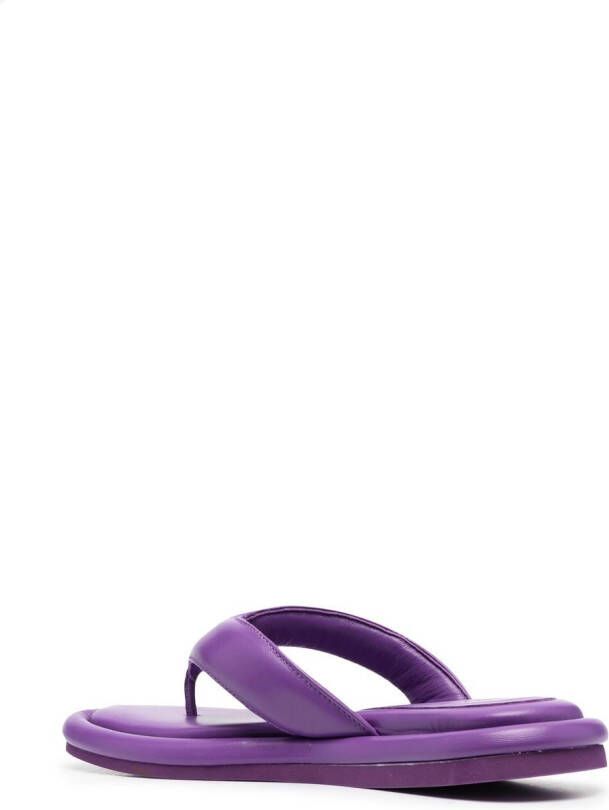 GIABORGHINI Gia 5 thong sandals Purple