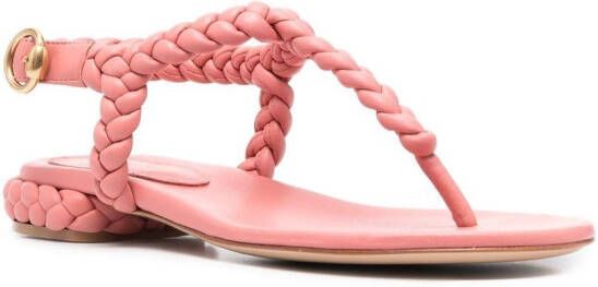 Gianvito Rossi Ravello leather flat sandals Pink