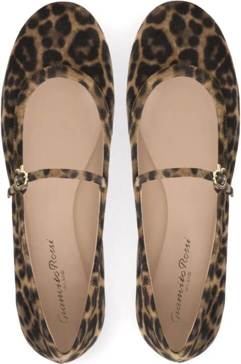Gianvito Rossi Carla leopard-pattern ballerina shoes Brown