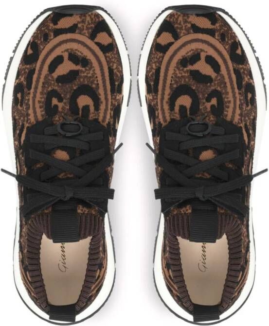Gianvito Rossi Glover leopard-print sneakers Brown