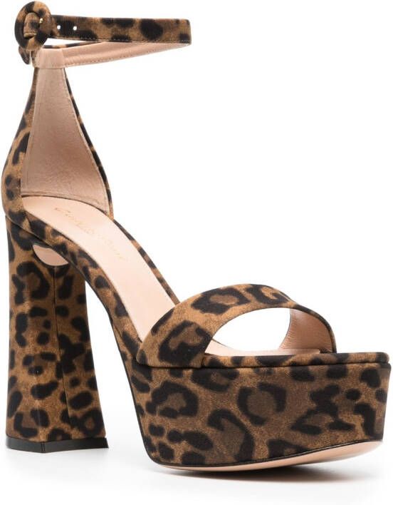 Gianvito Rossi Holly 120mm leopard-print sandals Brown