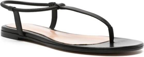 Gianvito Rossi Jaey T-strap sandals Black