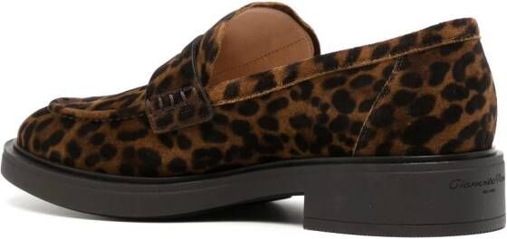 Gianvito Rossi leopard-print leather loafers Brown