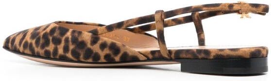 Gianvito Rossi leopard-print pointed sandals Brown