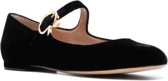 Gianvito Rossi Mary velvet leather ballerina shoes Black