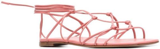 Gianvito Rossi Minas 05 flat sandals Pink