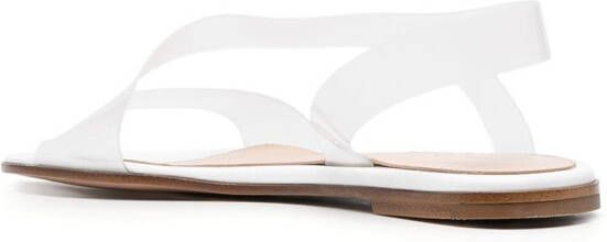 Gianvito Rossi transparent-strap flat sandals Neutrals