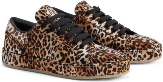 Giuseppe Zanotti GZ-City leopard-print sneakers Brown