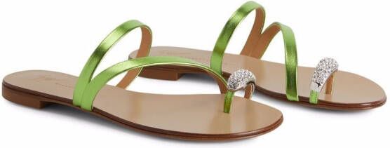 Giuseppe Zanotti Hillary Ring slides Green