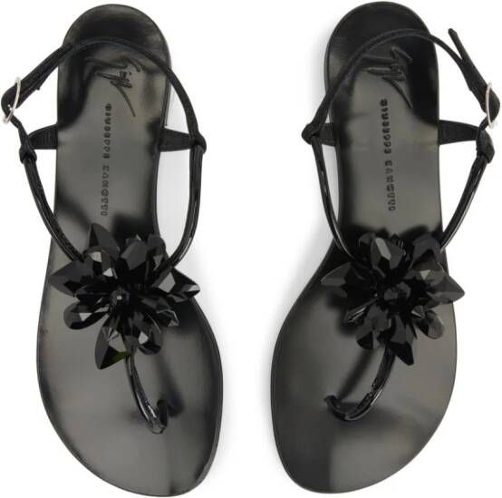 Giuseppe Zanotti Letizia floral-appliqué leather sandals Black