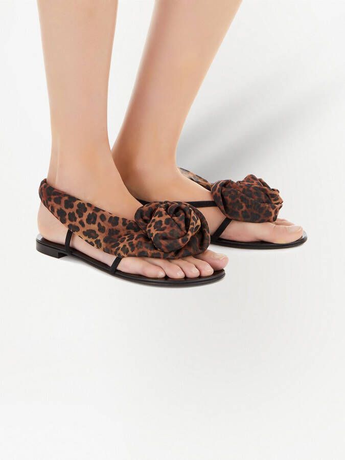 Giuseppe Zanotti Milonga leopard print sandals Black