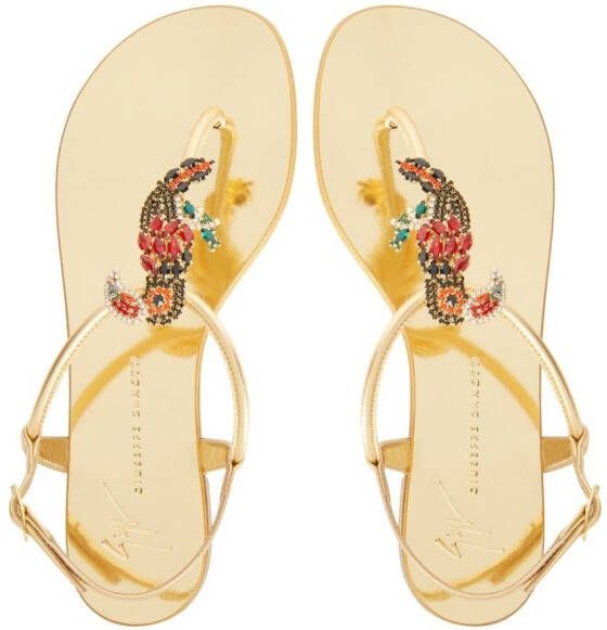 Giuseppe Zanotti Tropical Beach flat sandals Gold