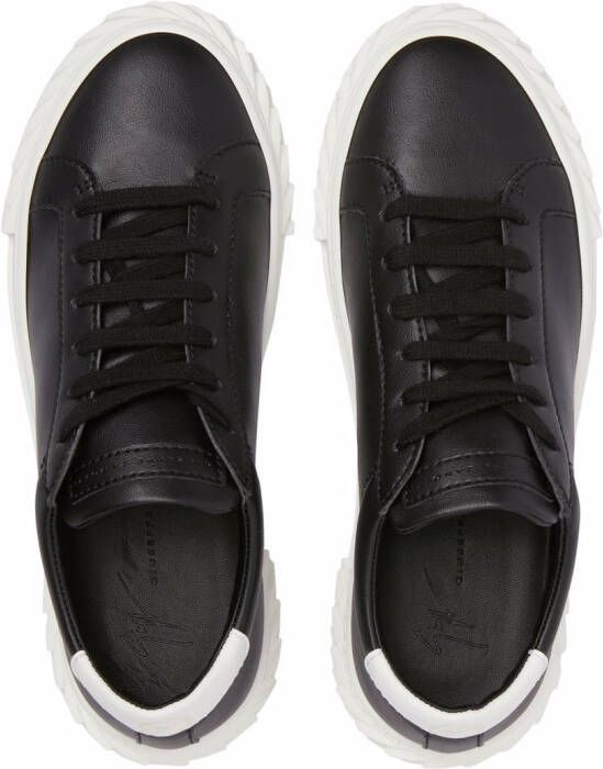 Giuseppe Zanotti two-tone lace-up sneakers Black