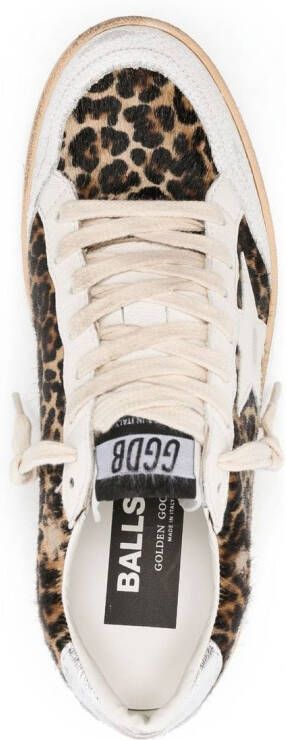 Golden Goose Ball Star leopard-print sneakers Brown